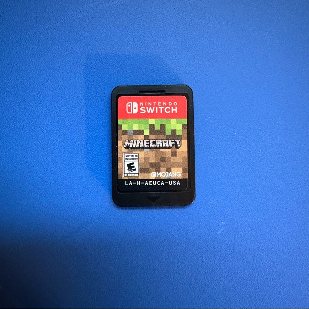 Nintendo Switch Minecraft Game - no case